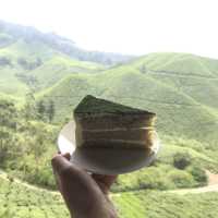 Cameron Valley Tea 