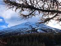 The Land of Mt. Fuji Yamanashi