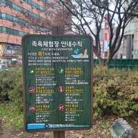 겨울여행 대전 인기 스팟 유성온천 족욕 체험장