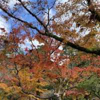 東山文化的始源 – 銀閣寺