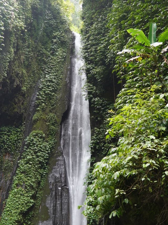 峇里 | 神秘隱世hidden waterfall🌿