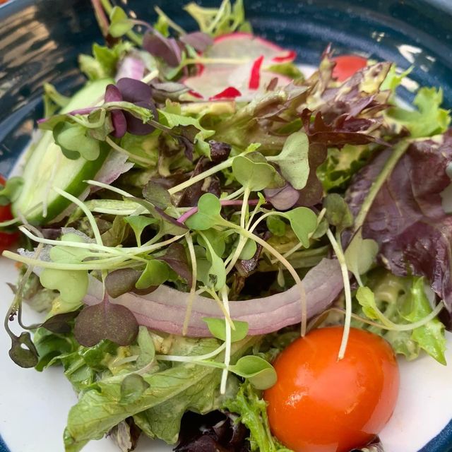 圓方休閒午餐🥣室外超正環境忙裏偷閑❤️Stormies