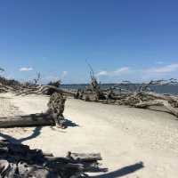 Beautiful Beach Day
