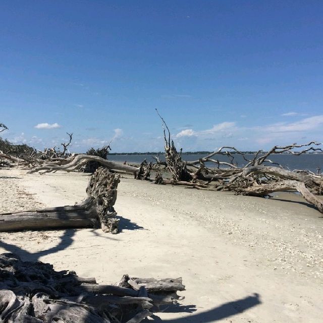 Beautiful Beach Day