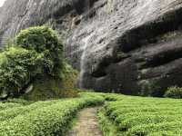 Wuyishan Scenic Area