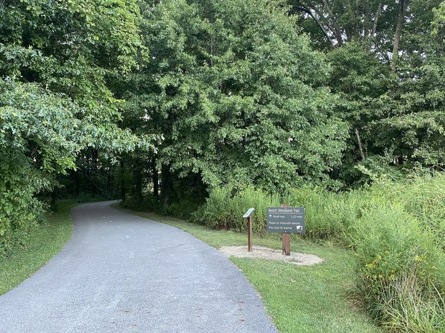 Beech Woodland Trail - Rocky Fork Metro Park