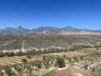 El Olivo🌵 Eco Olivo