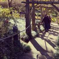 Charming Japanese tea garden in Pasadena 