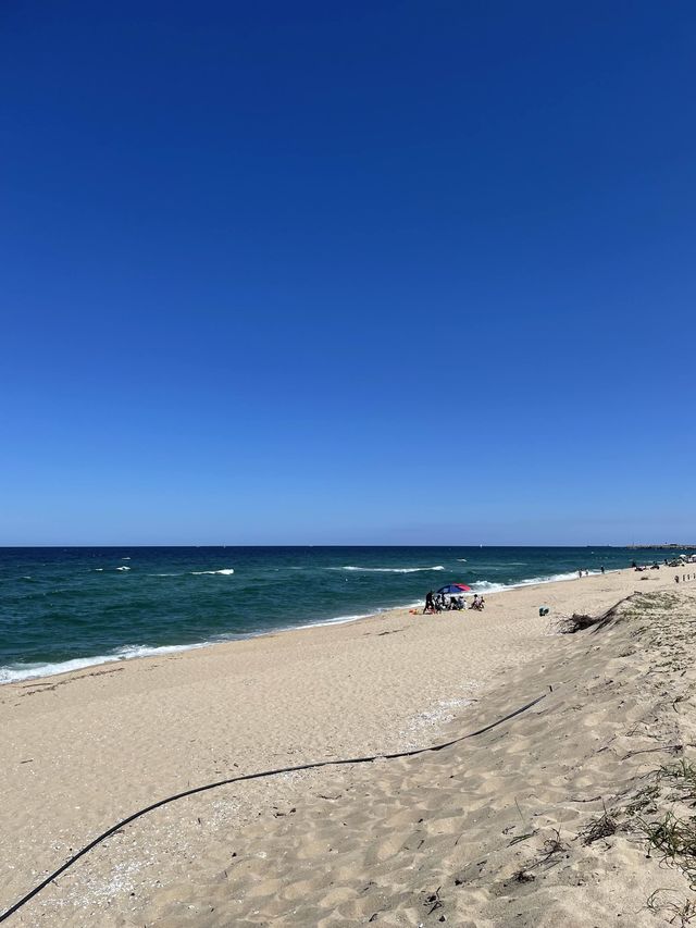 강릉 조용하고 청량한 바다 “송정해수욕장”🌊