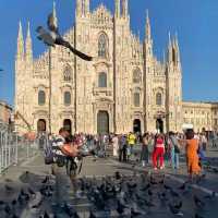 II Duomo (Milan Cathedral)