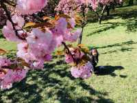 Bucharest Romania - Japanese Garden 