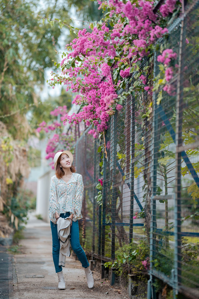 📍隱世小村莊 - 畫一般的汀九灣🕊