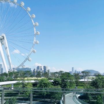 Shenzhen Bay Glory Ferris Wheel | Trip.com Bao'an District