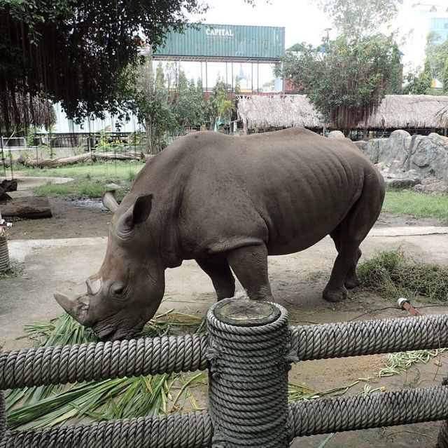 Saigon Zoo and Botanical Gardens - Ho Chi Min