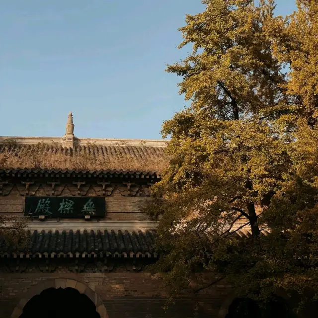 Linggu Temple in Golden Autumn Light