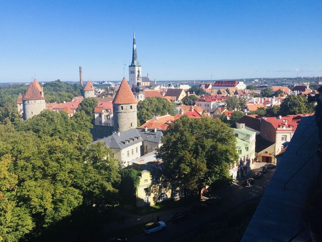 The Old Town of Tallinn, Estonia 🇪🇪✈️