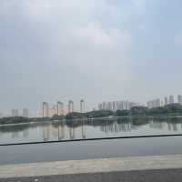 Shangxian river wetlands 