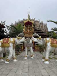 Visit the Dragons of Manzhang Village