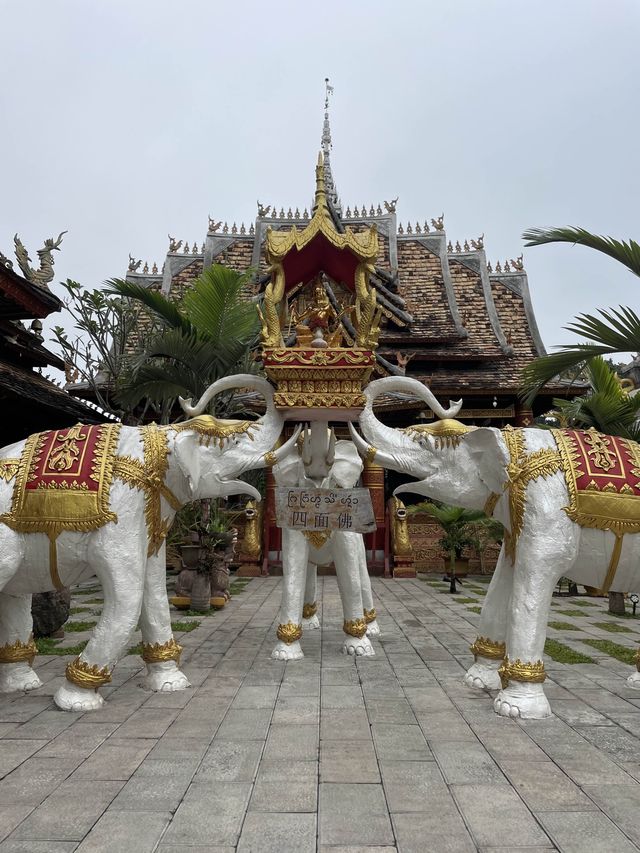 Visit the Dragons of Manzhang Village