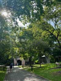 Singapore Dragon's Den | Fort Canning Park • Tree Hole Observatory 🌳 Hidden in the lush greenery
