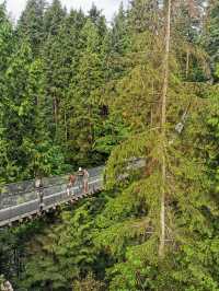 Capilano Suspension Bridge Park