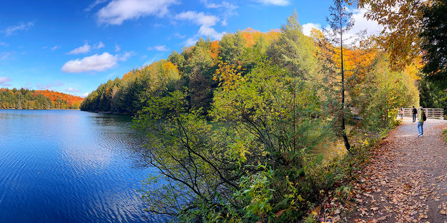 Gatineau Park