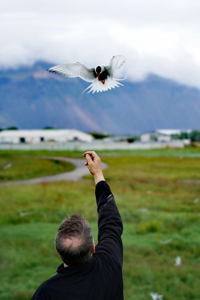 Traveling: Eye Contact and Reflections (Animal Edition)