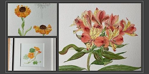 Summer Botanicals: Watercolours & Illustration Workshop - An Introduction | Festina Lente