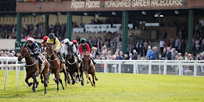 OSC Ripon Races Day | Ripon Races