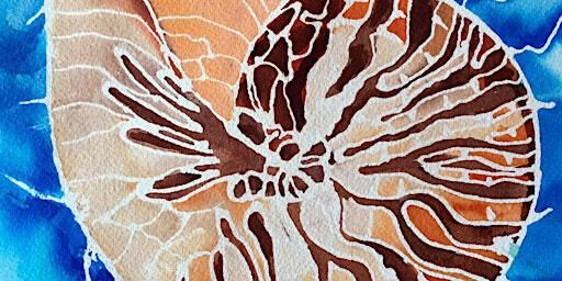 Mosaic Nautilus Shell in Watercolors with Phyllis Gubins | Red Brick Art