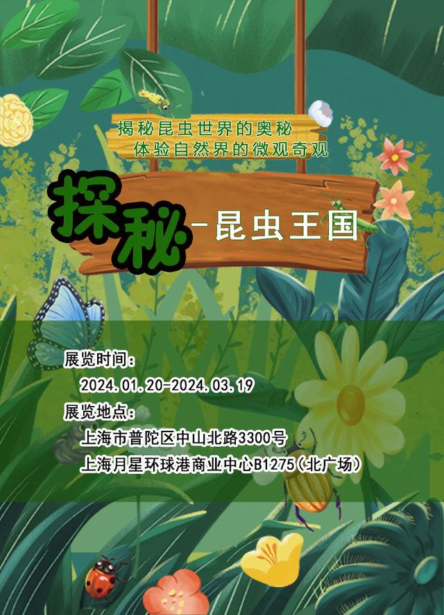 探秘-昆蟲王國 一場專為孩子們打造的科普臨展|兒童親子 | 探秘-昆蟲王國