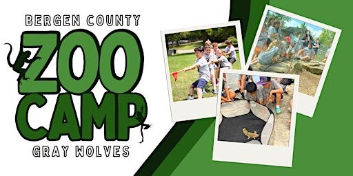 Gray Wolves (9-12yo) June 30 - July 4 | Bergen County Zoo