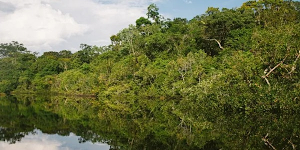 10 years after the Paris Agreement, what to expect from Brazil’s COP 30? | Bush House SE 1.08