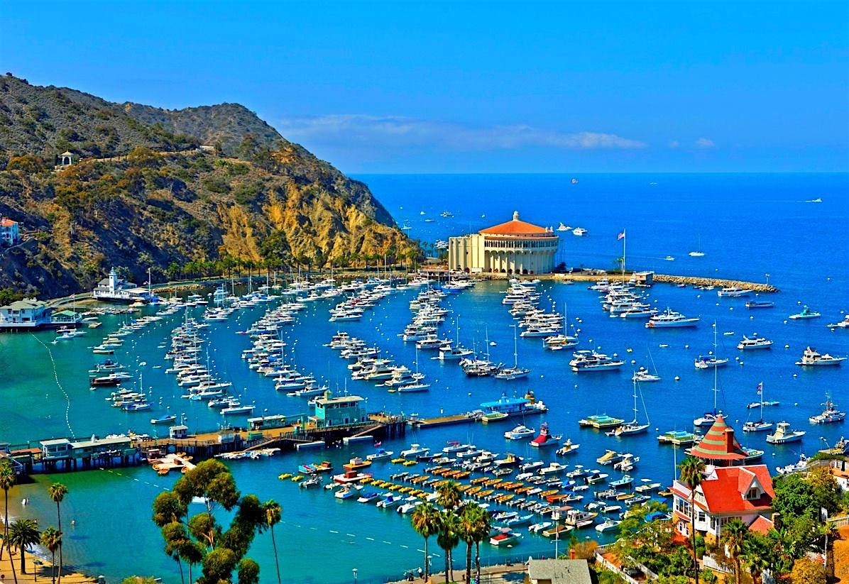 Catalina Island Daycation Getaway from San Diego | Santa Catalina Island (Destination)
