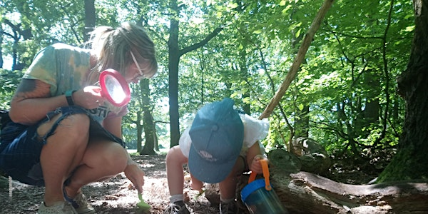 Belfairs Summer Family Forest Fun | Belfairs Nature Discovery Centre