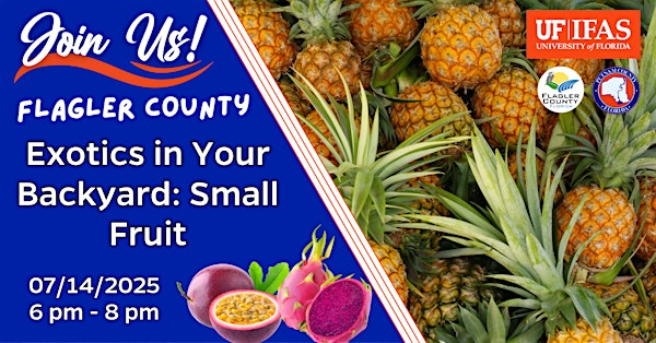 Flagler Exotics in Your Backyard: Small Fruit | UF/IFAS Flagler County Extension