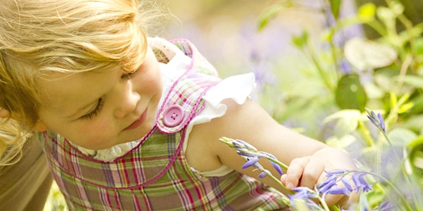 Hanningfield Nature Tots Summer Special | Hanningfield Reservoir Nature Discovery Park