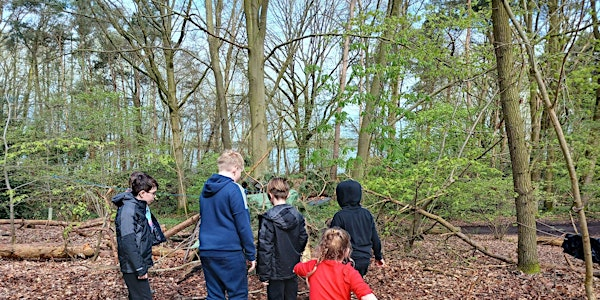 Langdon Forest School Home Education Sessions | Langdon Nature Discovery Park