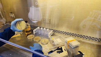 CRISPR Gene Editing Bootcamp Hands-On | 549 48th St