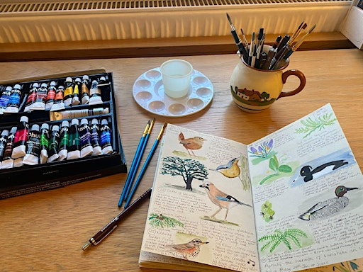 Nature Journaling - Sutton Courtenay, Wednesday 17 June | Sutton Courtenay Environmental Education Centre