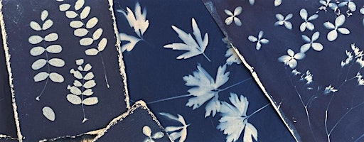 Basic Cyanotype & Memory-Making | Sparrow Artspace