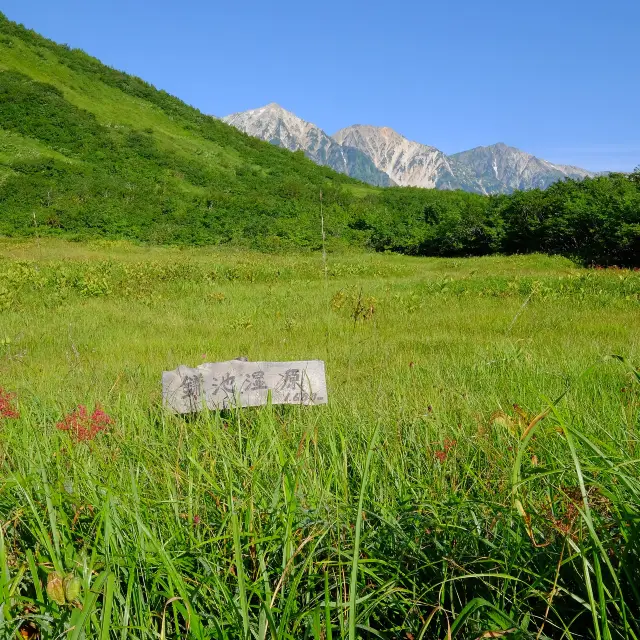 夏の鎌池湿原