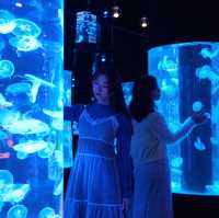 【全港首個海洋探索體驗館🌊】