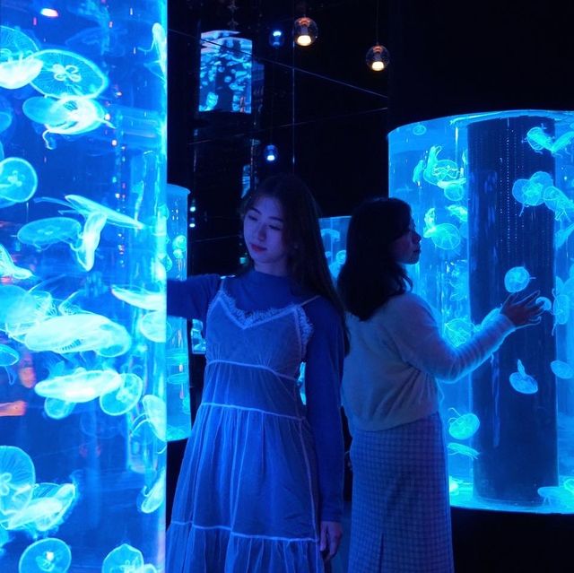 【全港首個海洋探索體驗館🌊】