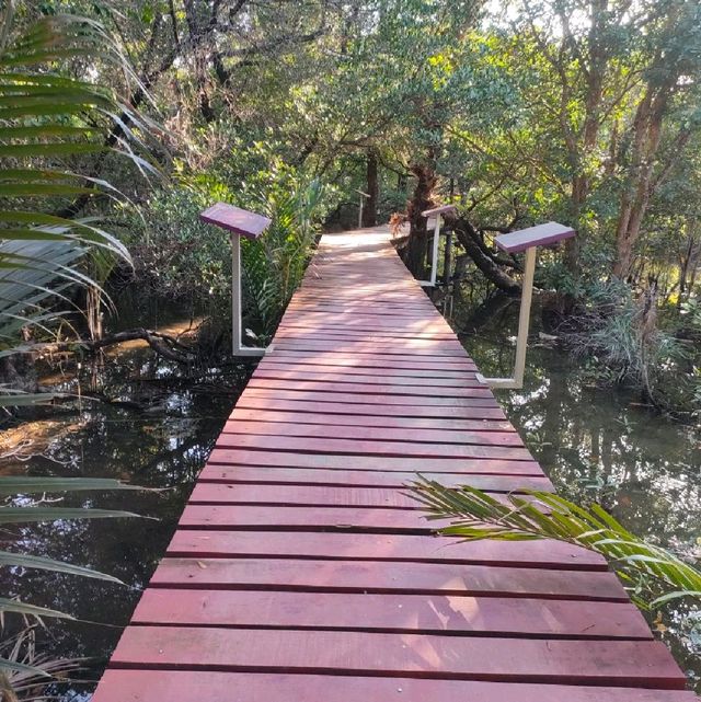 สะพานแดง ชมป่าชายเลน