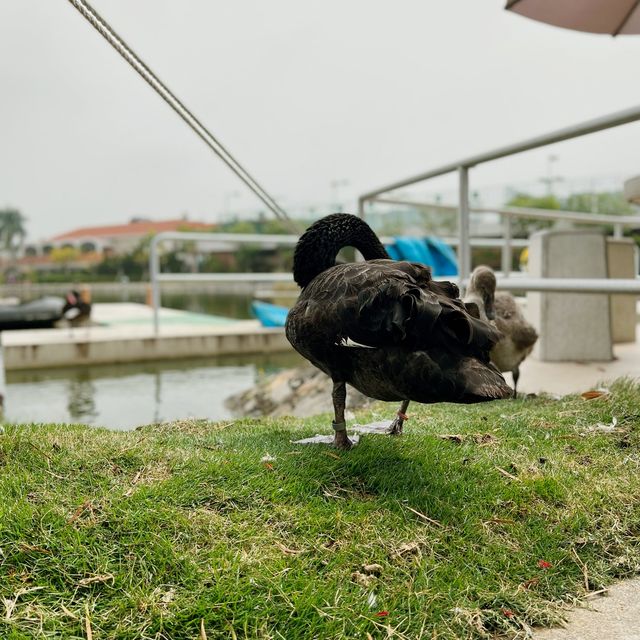 親親小動物 錦繡花園