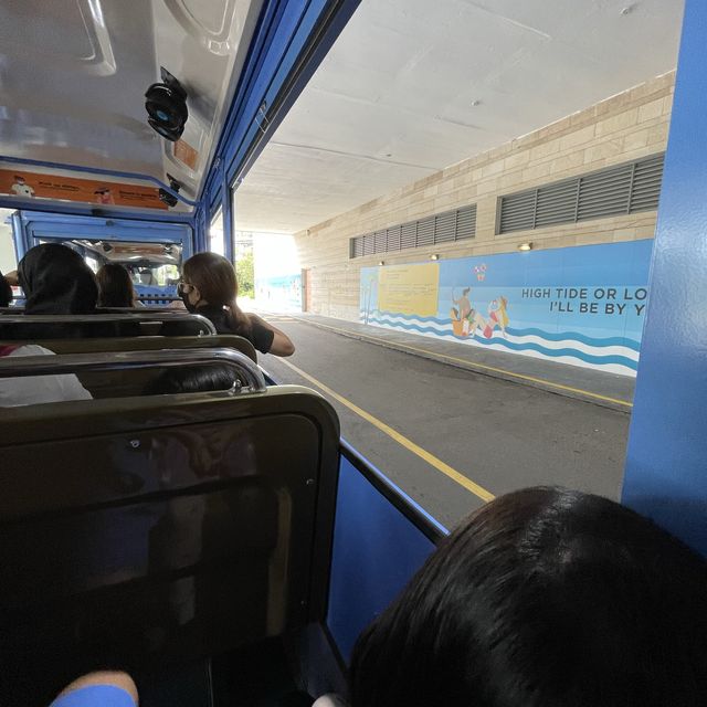 Free transportation at Siloso Beach 