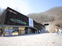 단양 고수동굴 신비로운 석회암동굴