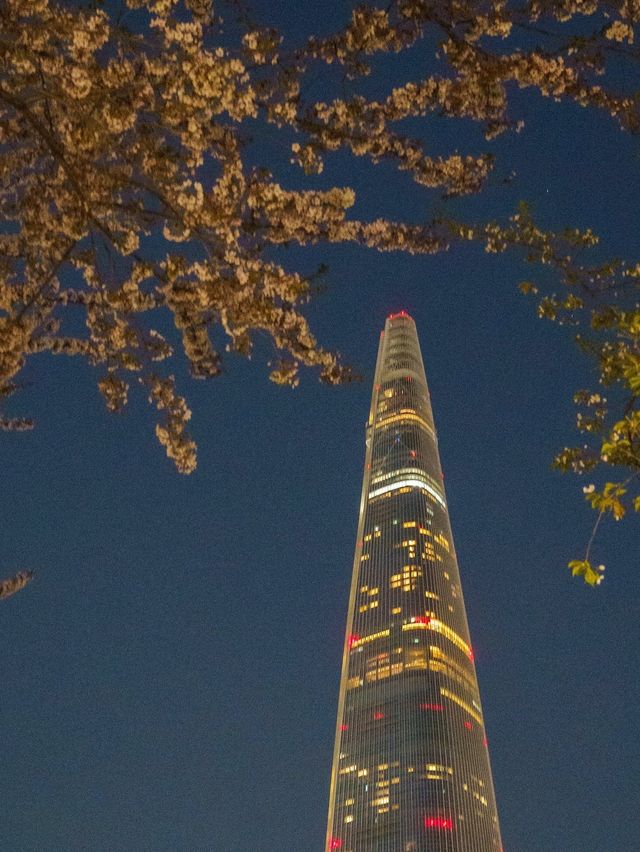 서울 벚꽃 야경 명소는 석촌호수🌸