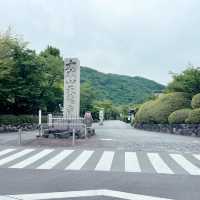 【京都府】昔懐かしい嵐電に乗って嵐山へ！